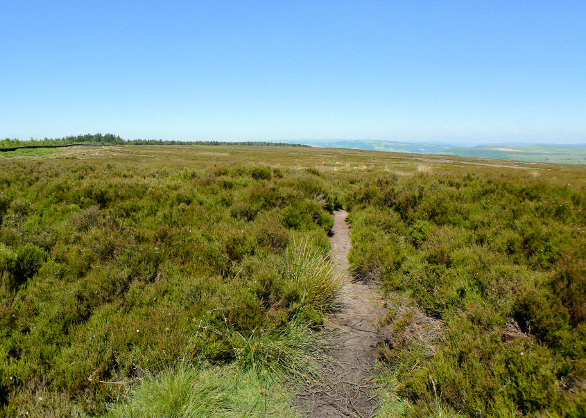 Gibbet Moor Gibbet Moor